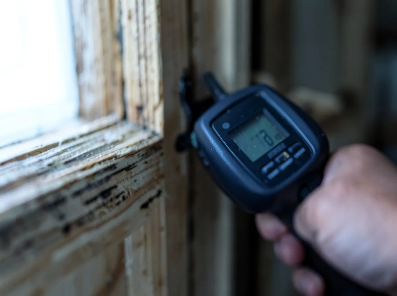 Moisture Inspection And Documentation in Lodi, CA